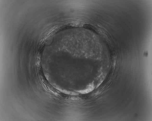 X0000116011154200912101334