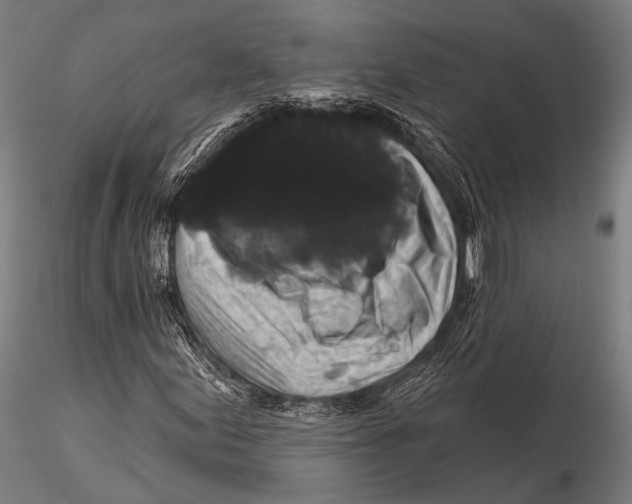 X0000116011155200912101334