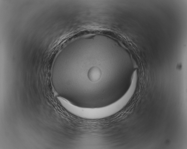 X0000116011157200912101334