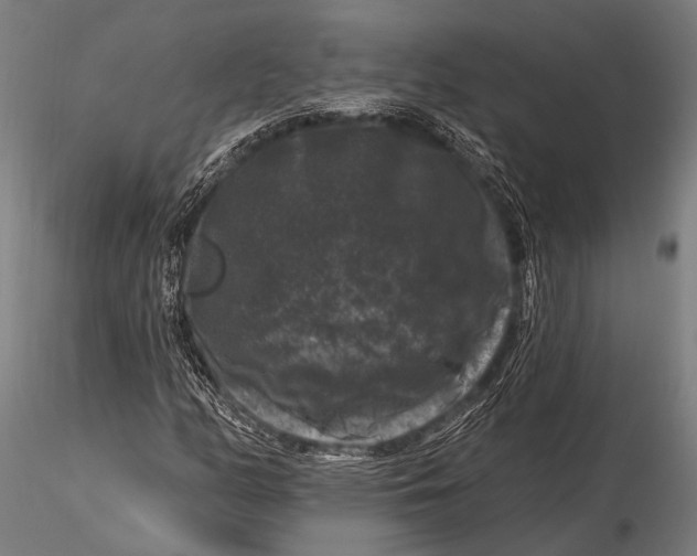 X0000116011158200912101334