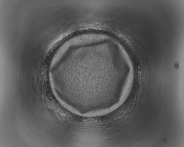 X0000116011159200912101334