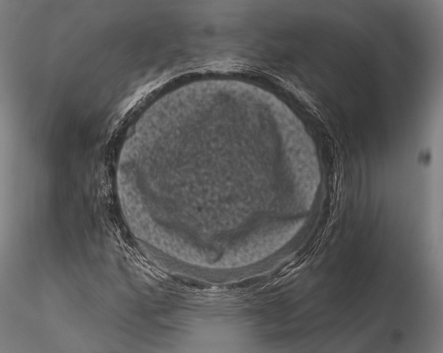 X0000116011160200912101334