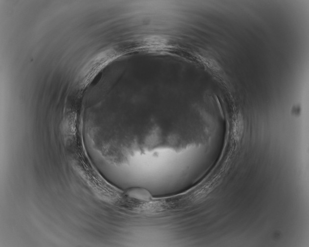 X0000116011161200912101334