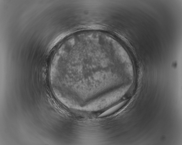 X0000116011163200912101334