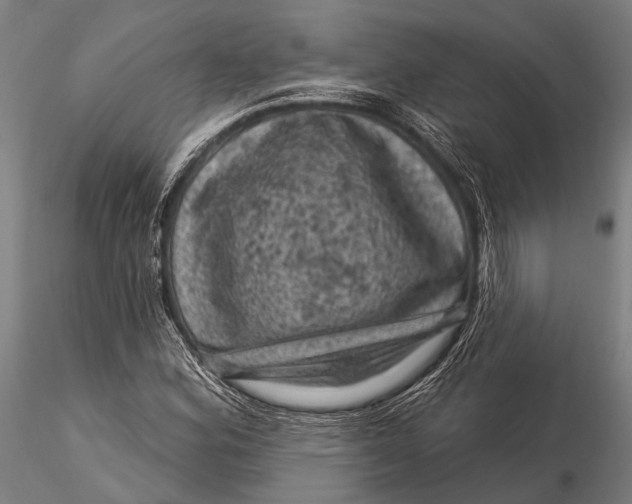 X0000116011164200912101334