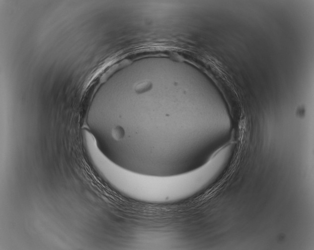 X0000116011165200912101334