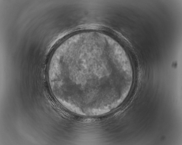 X0000116011166200912101334