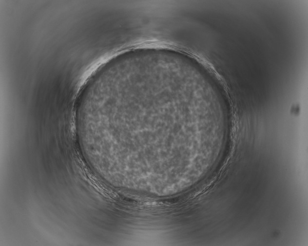 X0000116011167200912101334