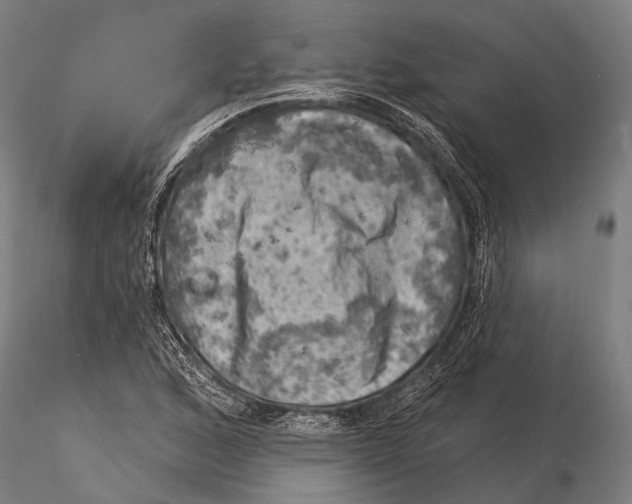 X0000116011168200912101334