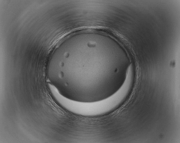 X0000116011169200912101334