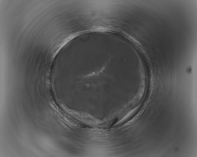 X0000116011170200912101334