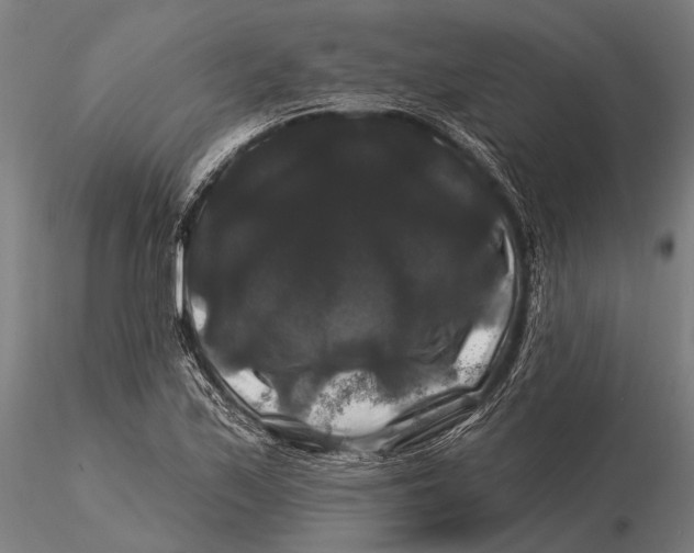 X0000116011171200912101334