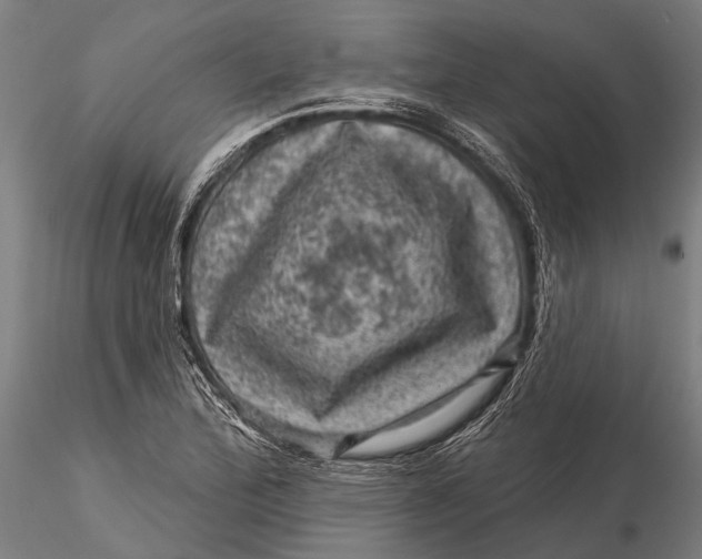 X0000116011172200912101334