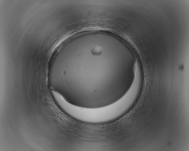 X0000116011173200912101334