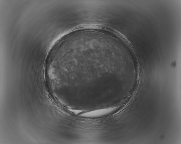 X0000116011174200912101334