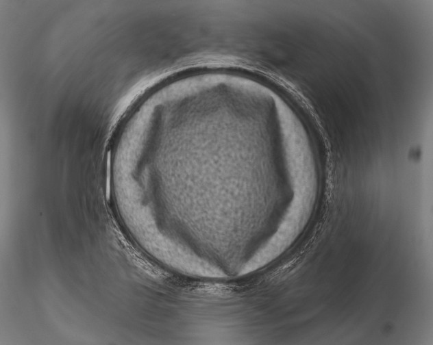 X0000116011175200912101334