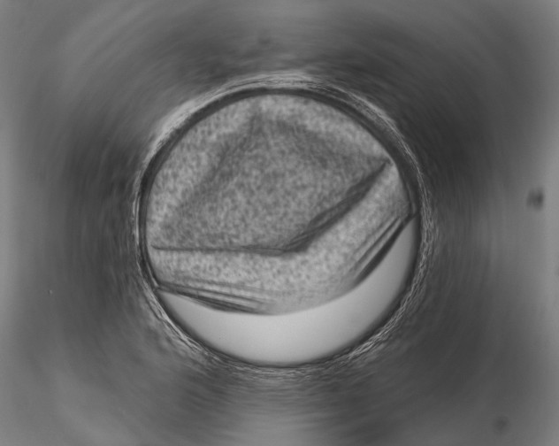 X0000116011176200912101334