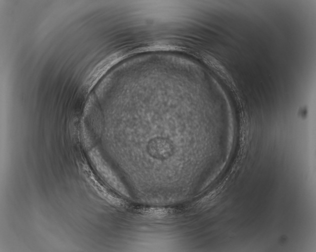 X0000116011177200912101334