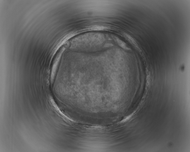 X0000116011178200912101334