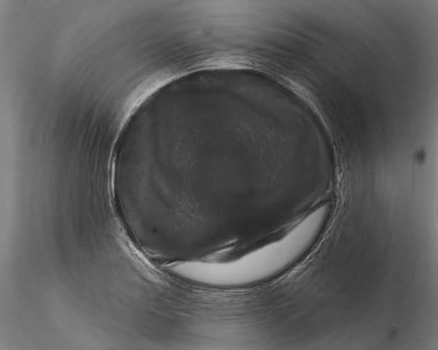 X0000116011179200912101334