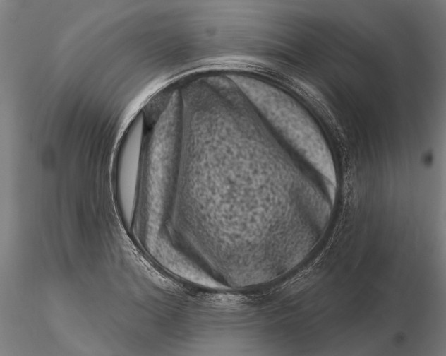 X0000116011180200912101334