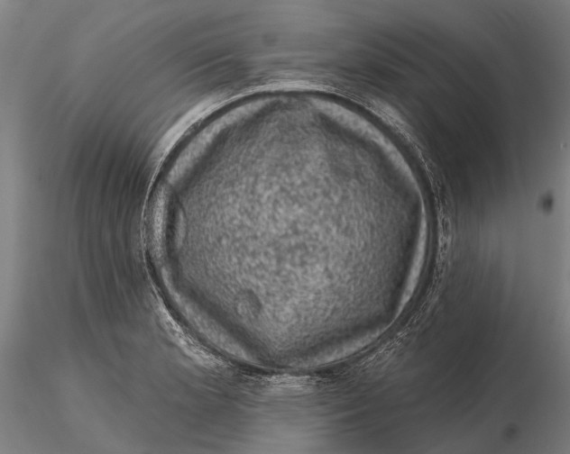 X0000116011181200912101334