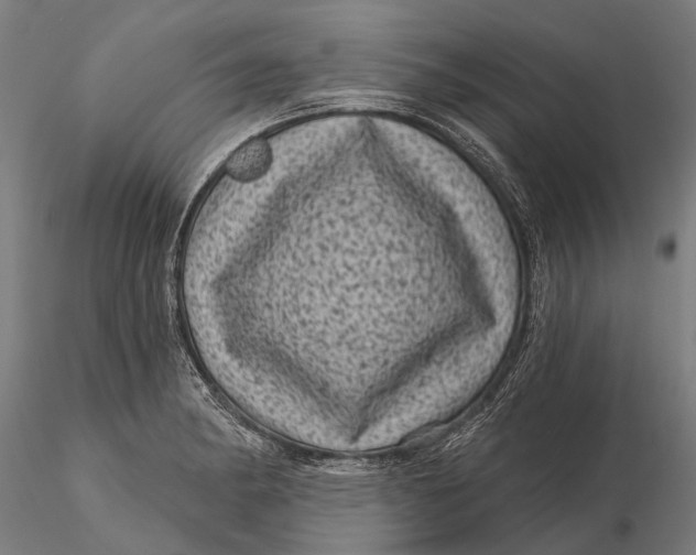 X0000116011182200912101334