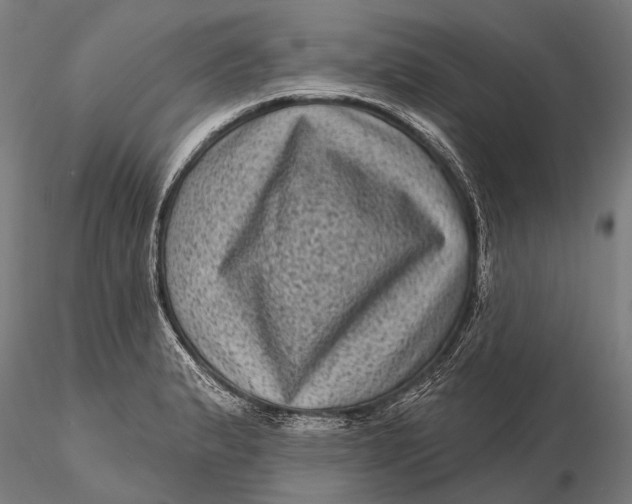 X0000116011183200912101334