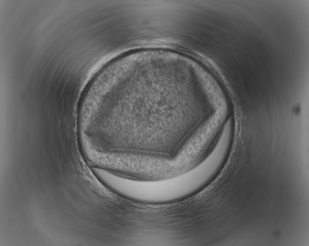 X0000116011184200912101334