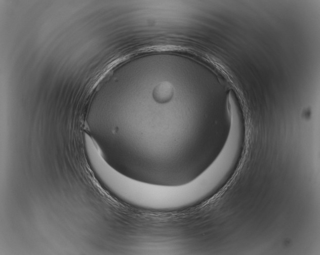 X0000116011185200912101334