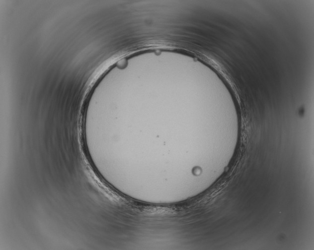 X0000116011187200912101334