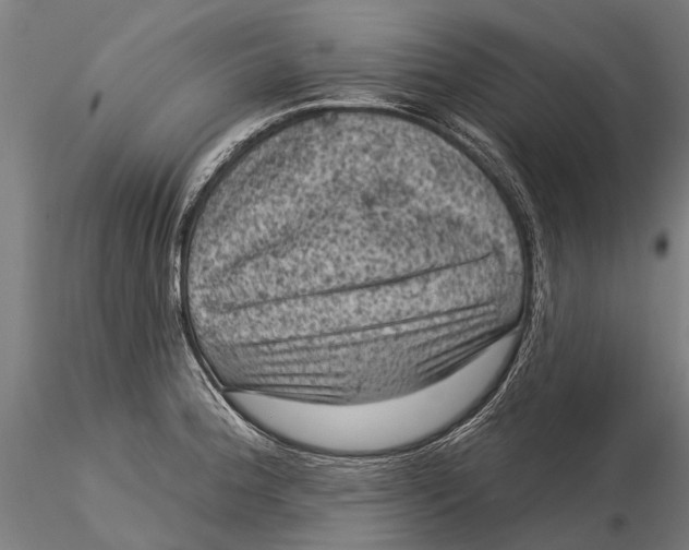 X0000116011188200912101334