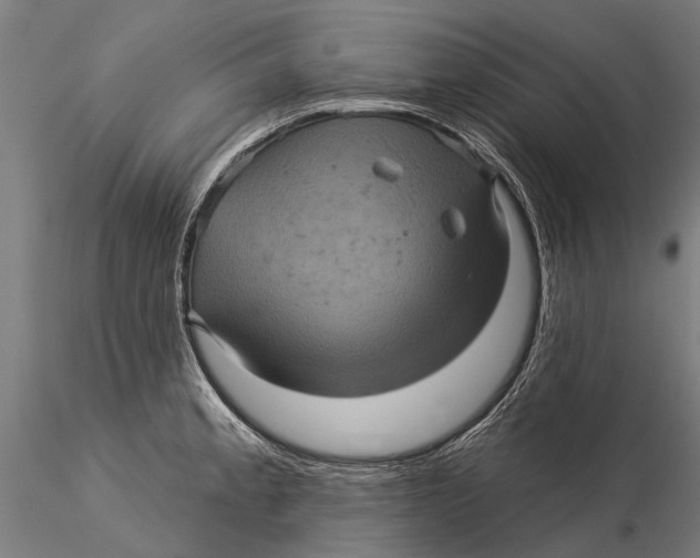 X0000116011189200912101334