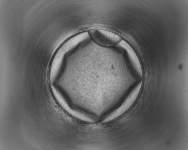 X0000116011190200912101334