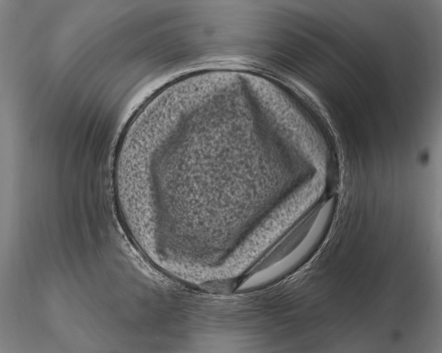 X0000116011192200912101334