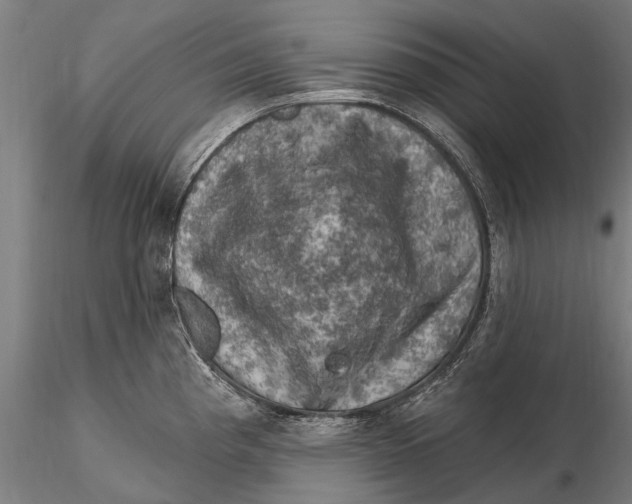 X0000116011193200912101334