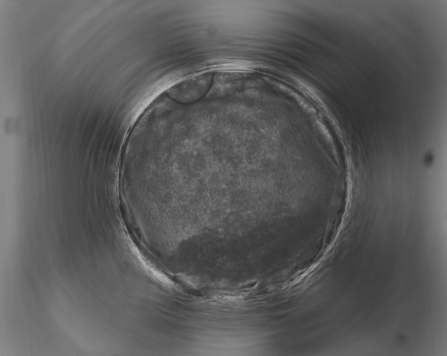 X0000116011194200912101334