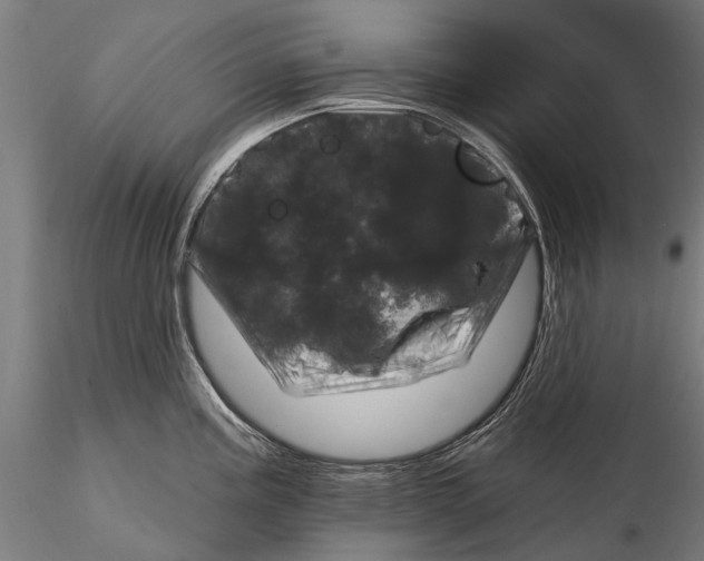 X0000116011195200912101334