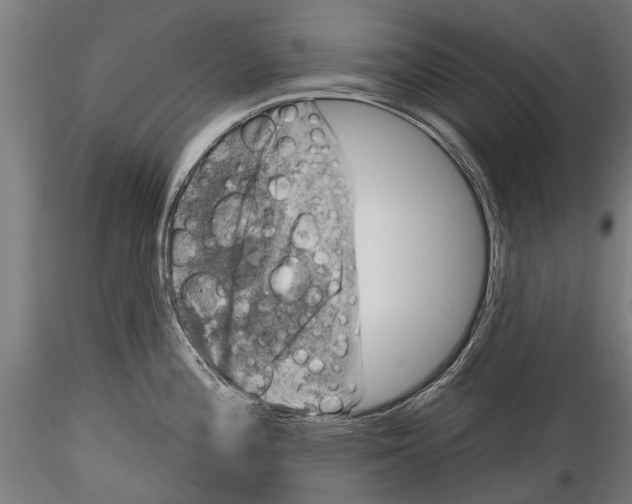 X0000116011196200912101334