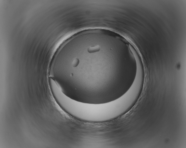 X0000116011197200912101334