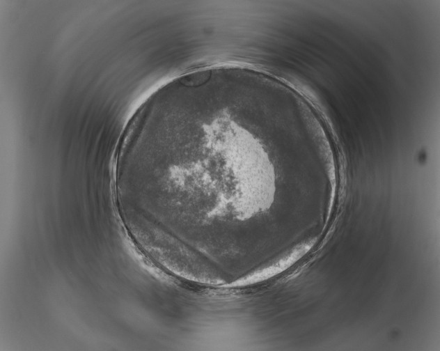 X0000116011198200912101334