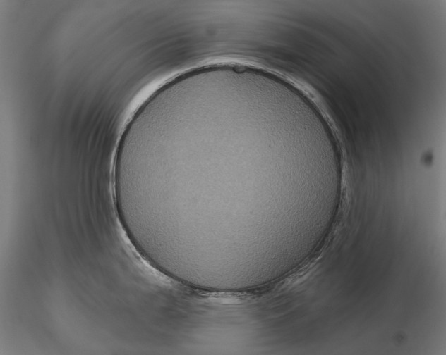 X0000116011199200912101334