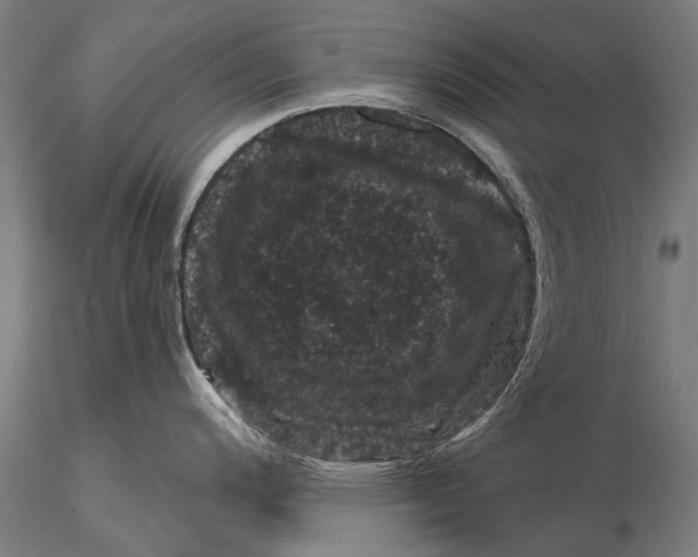 X0000116011200200912101334