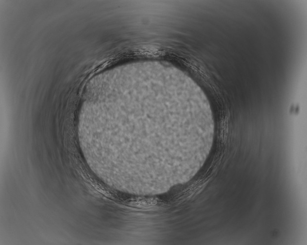 X0000116011201200912101333