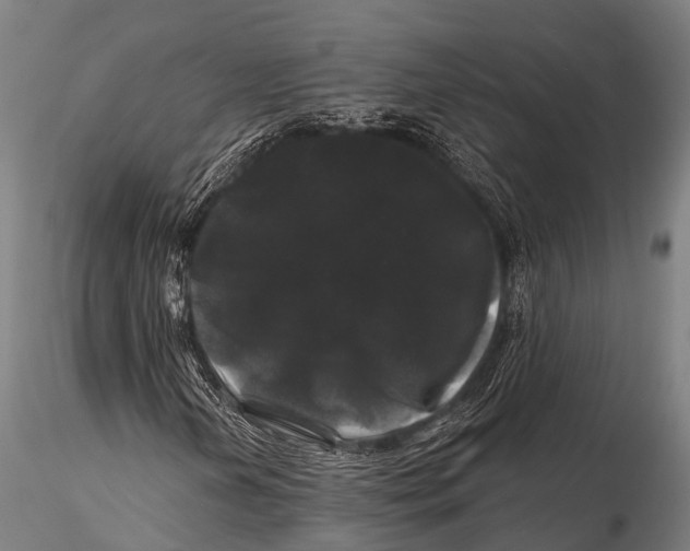 X0000116011202200912101333