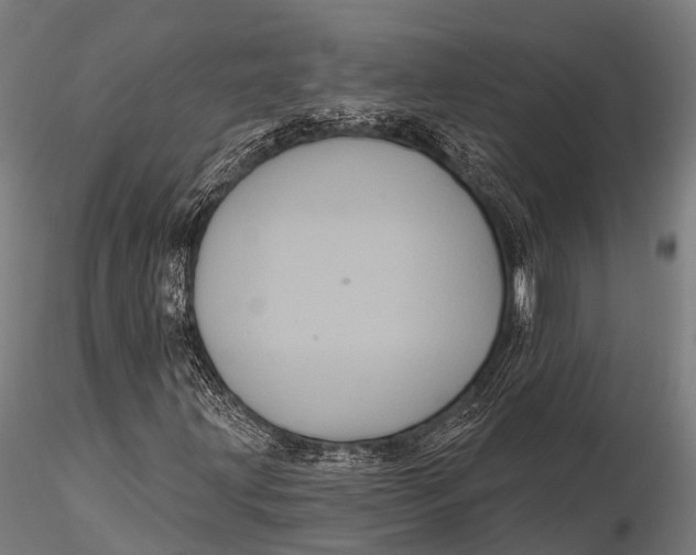 X0000116011203200912101333