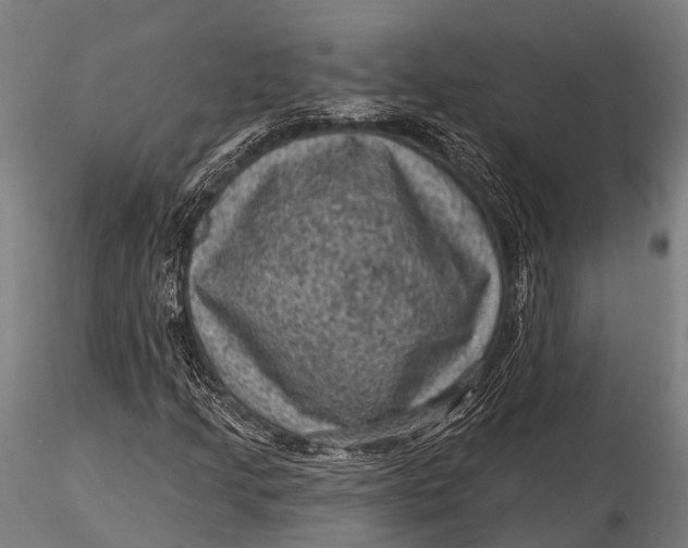 X0000116011205200912101333