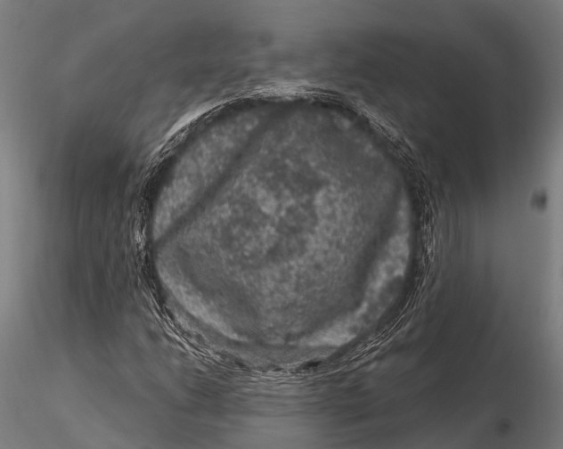 X0000116011206200912101333