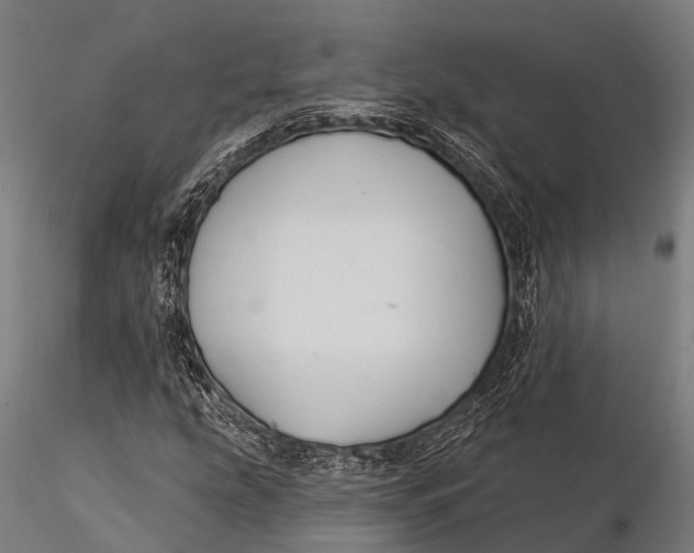 X0000116011207200912101333