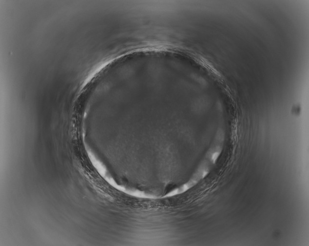 X0000116011208200912101333